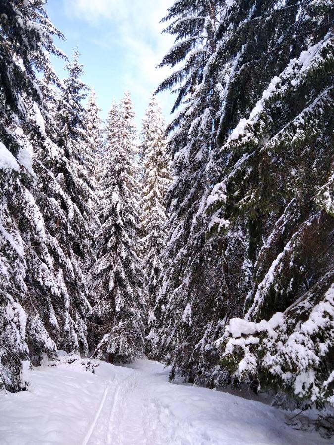 Ski Apartmany Spiezovec Donovaly Luaran gambar